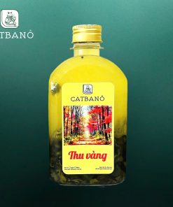 Cold Brew Thu vàng (Gạo rang)