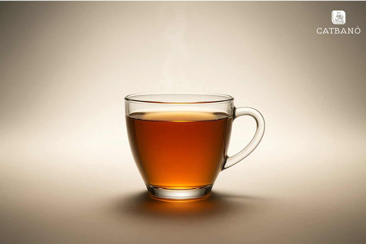 Ly trà Oolong trong studio với ánh sáng mềm, nổi bật tinh thần minh mẫn và năng lượng sáng tạo.