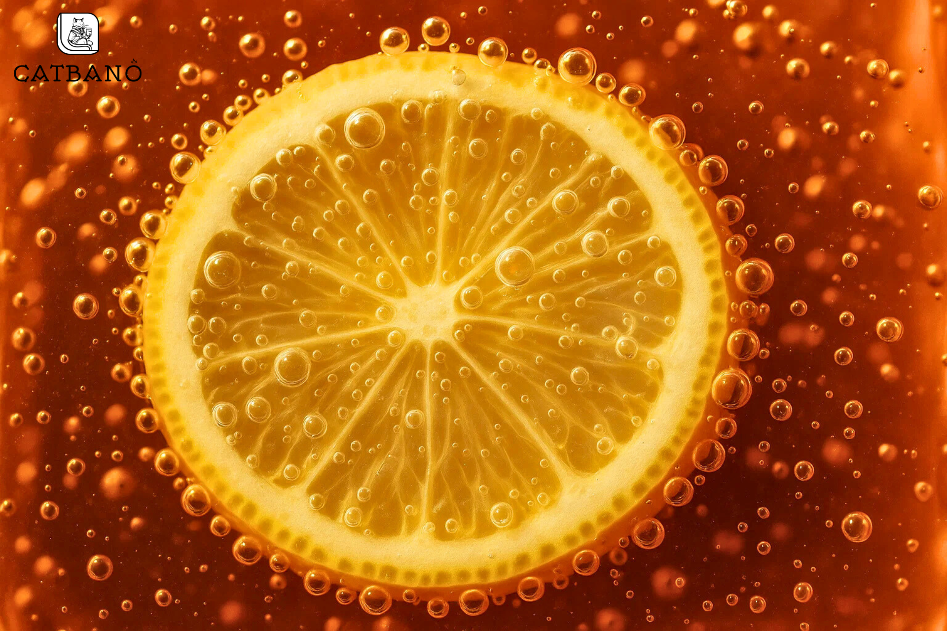 Ảnh cận cảnh bọt nước trên lát chanh thả trong trà.