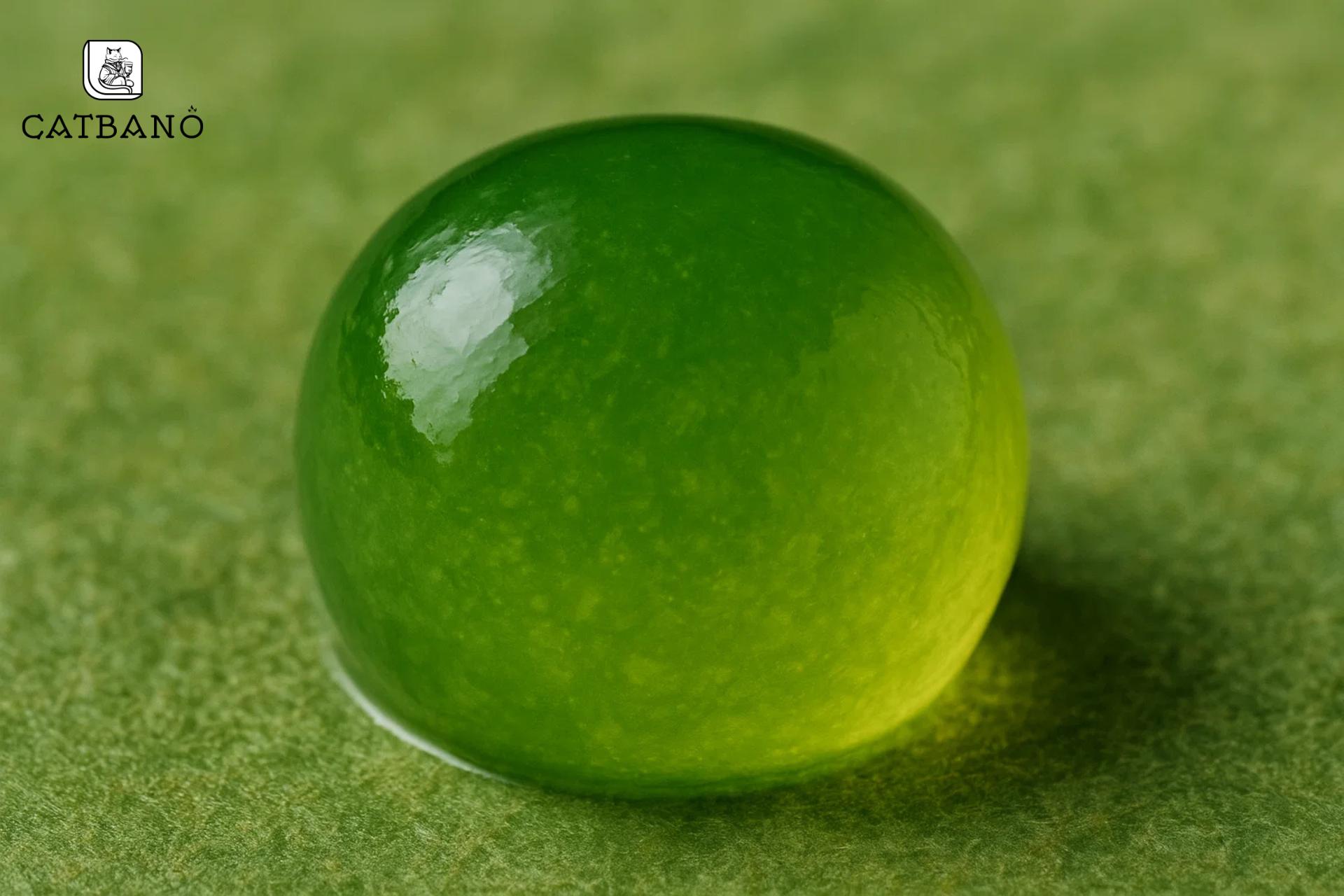 Cận cảnh viên trân châu matcha Oolong lá dứa hoặc hoa nhài với màu sắc tự nhiên.